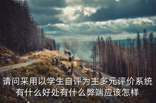 请问采用以学生自评为主多元评价系统有什么好处有什么弊端应该怎样