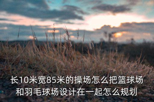 长10米宽85米的操场怎么把篮球场和羽毛球场设计在一起怎么规划