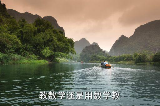 教数学还是用数学教