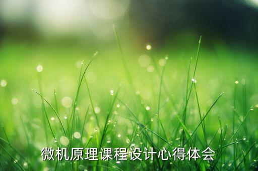 微机原理课程设计心得体会