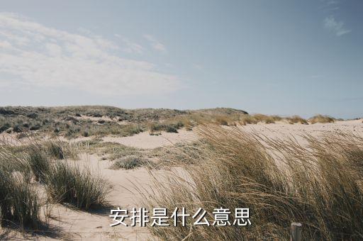 安排是什么意思