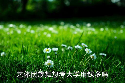 艺体民族舞想考大学用钱多吗