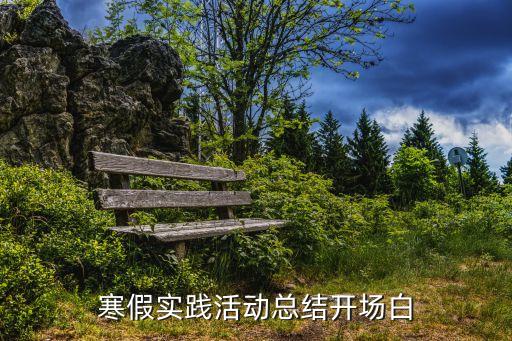 寒假总结ppt模板，寒假实践活动总结开场白