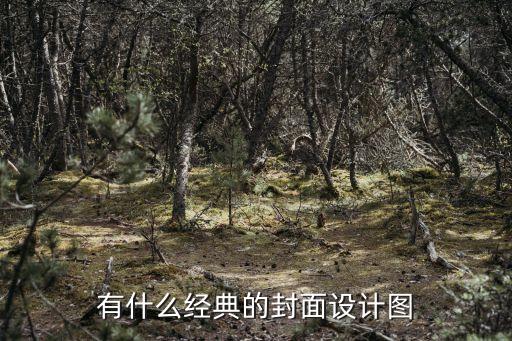 有什么经典的封面设计图