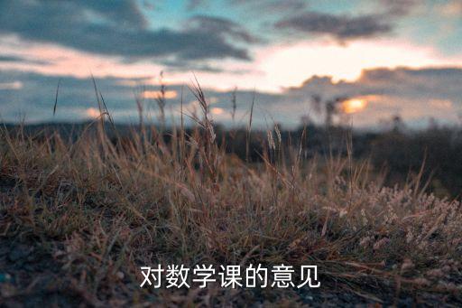 数学评课用语优缺点及建议简短版，对数学课的意见