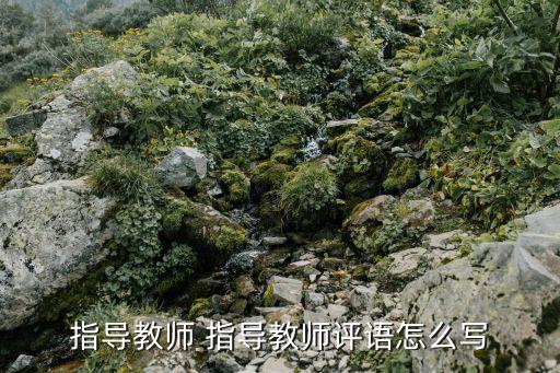 教案指导老师评价意见怎么写，指导教师评语怎么写