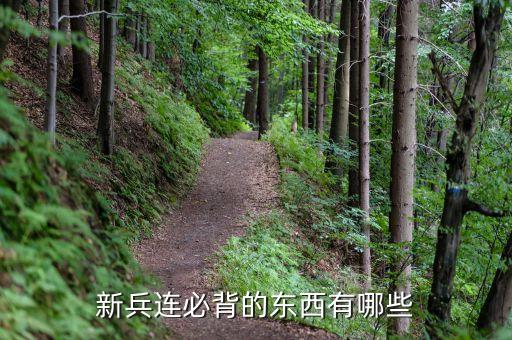 当兵需要背诵哪些，当兵的必背法律法规