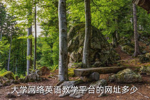 大学网络英语教学平台的网址多少