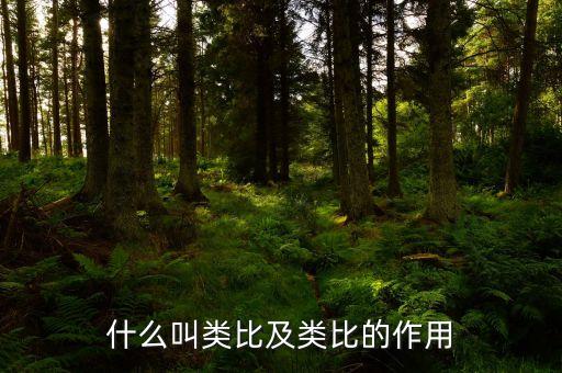 什么叫类比及类比的作用