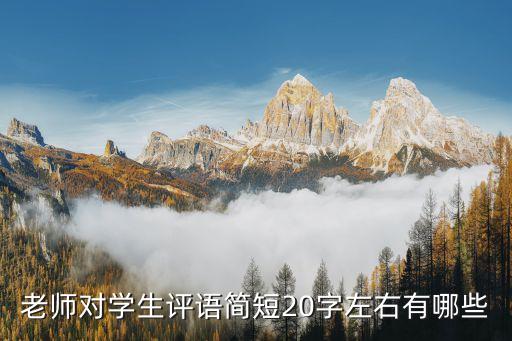 老师对学生评语简短20字左右有哪些