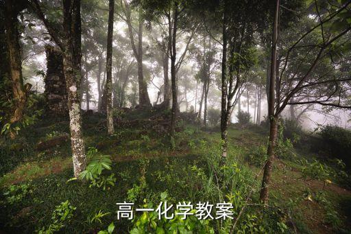 高一化学教案