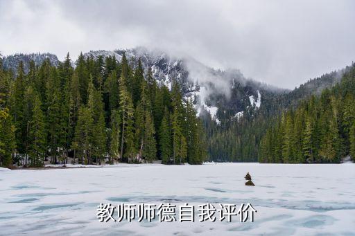 师德师风互评评价表，教师评价怎么写表现鉴定