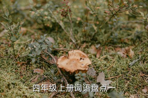 语文书四年级上册词语表，四年级上册语文词语