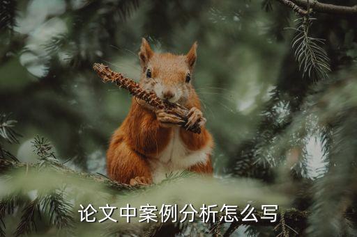 论文中案例分析怎么写