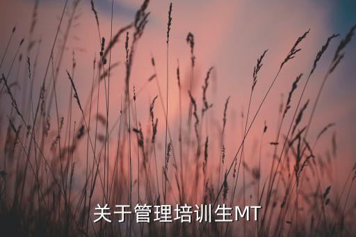 关于管理培训生MT