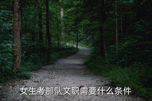 女生考部队文职条件，女孩想做文员得需要什么条件