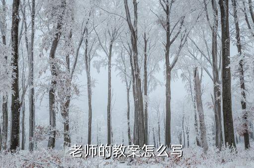 教学设计亮点怎么写，老师的教案怎么写