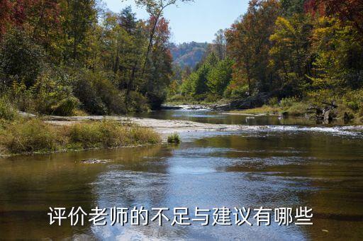 评价老师的不足与建议有哪些