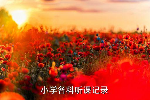 小学各科听课记录