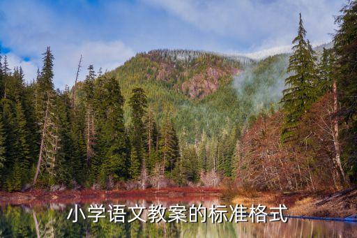 小学语文教案的标准格式