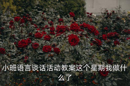 小班语言谈话活动教案这个星期我做什么了