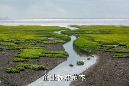 企业标准范本