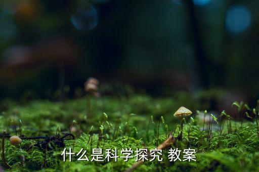 什么是科学探究 教案