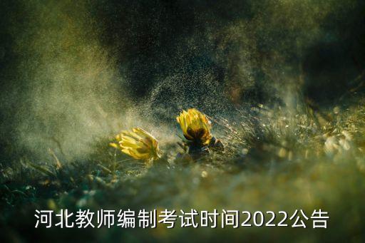 河北教师编制考试官网，教师考编报名入口