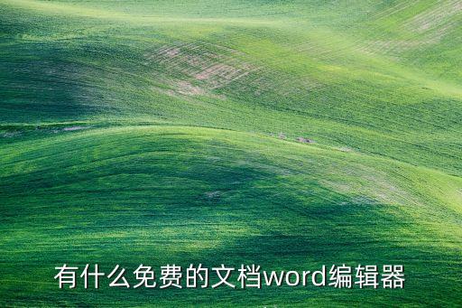 有什么免费的文档word编辑器