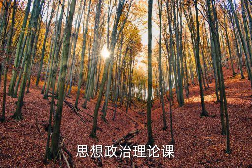 思想政治理论课