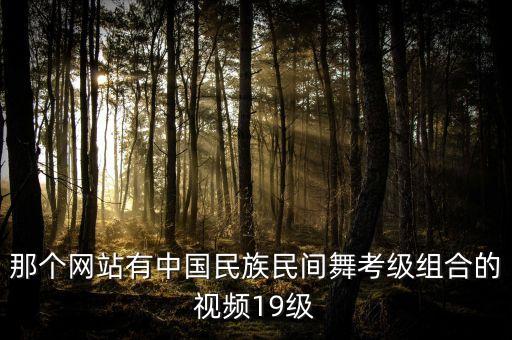 那个网站有中国民族民间舞考级组合的视频19级