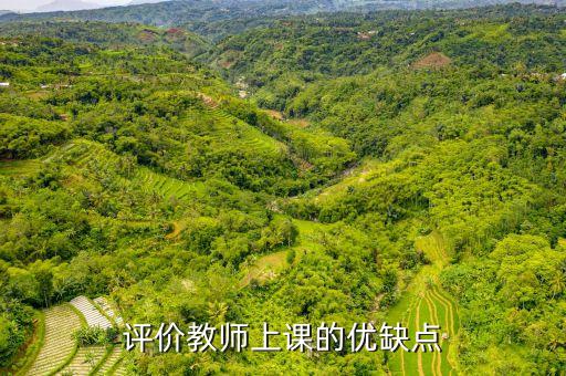 评价教师上课的优缺点