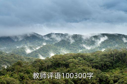 教师评语100300字