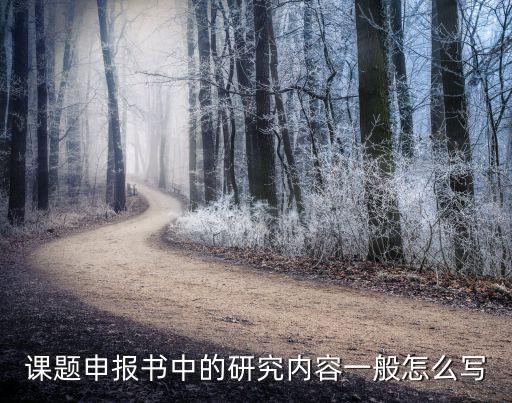本课题研究内容，课题申报书中的研究内容一般怎么写