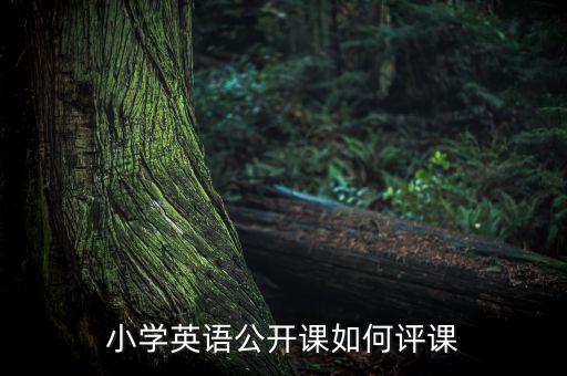 小学英语公开课评课用语，小学英语公开课如何评课