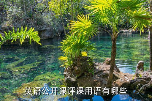 英语公开课评课用语有哪些