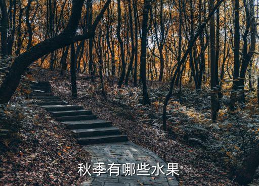 秋季有哪些水果