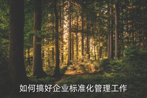 如何搞好企业标准化管理工作
