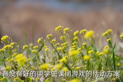 有没有好的中学生课间游戏的活动方案