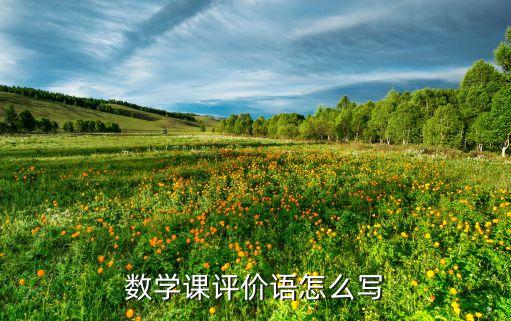 数学课评价语怎么写