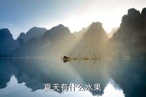 夏天有什么水果