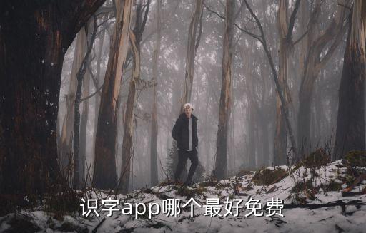 识字app哪个最好免费