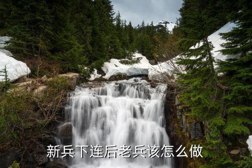 部队新兵下连老兵教育教案，老兵退伍教育教案