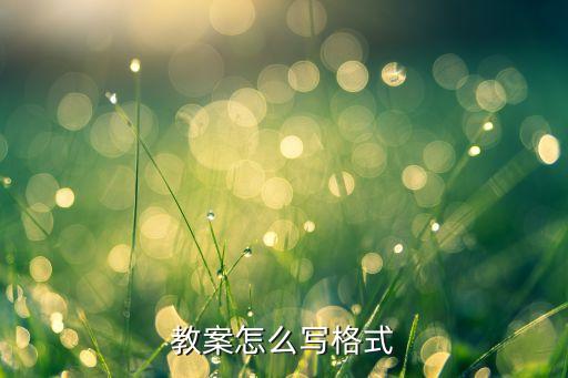 教案怎么写格式