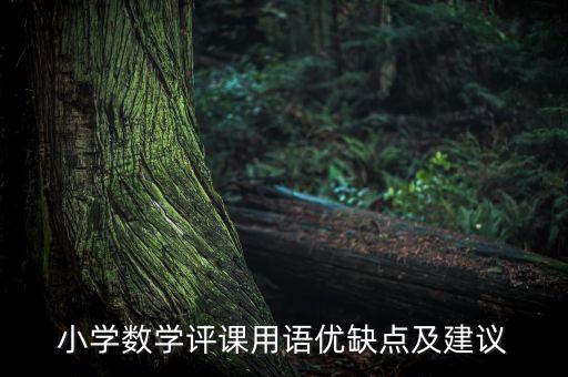 小学数学评课用语优缺点及建议