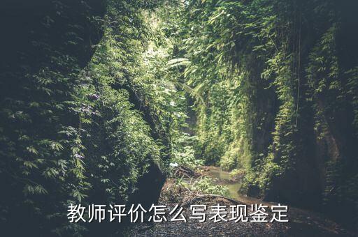 教师评价怎么写表现鉴定