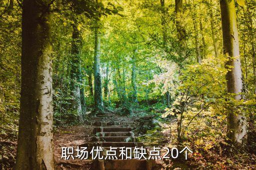 职场优点和缺点20个