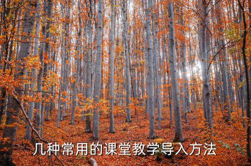 几种常用的课堂教学导入方法