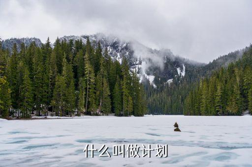 什么叫做计划