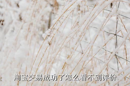 淘宝交易成功了怎么看不到评价